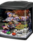 CORALIFE LED BioCube - 16 gal