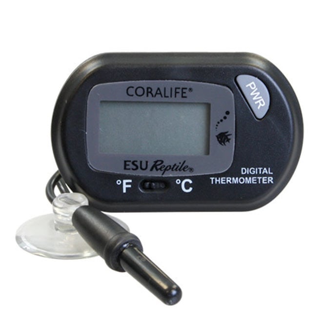 Thermomètre digital externe pour aquarium - Petits Compagnons