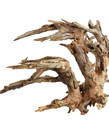 UNDERWATER TREASURES Kirin Bonsai Wood