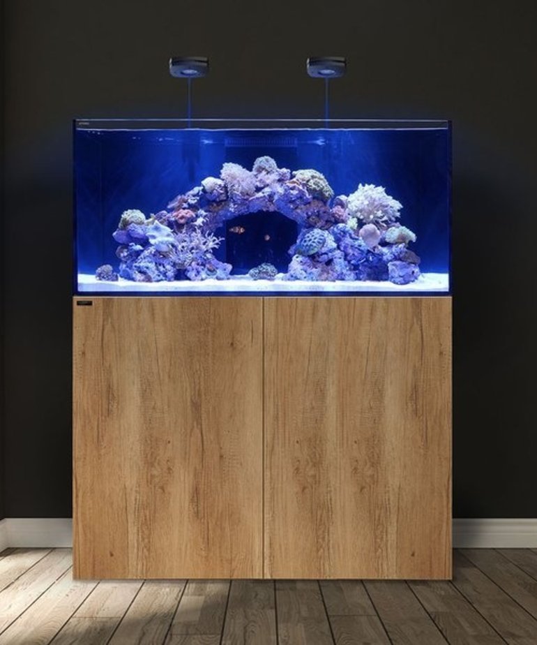 Waterbox WATERBOX AQUARIUMS Marine X 110.4 Aspen