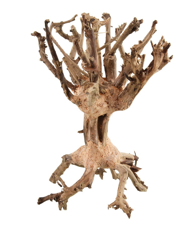 UNDERWATER TREASURES Cloud Bonsai Wood - Small