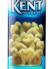 KENT MARINE Phytoplex 16oz