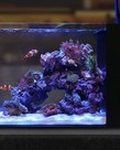 Waterbox WATERBOX AQUARIUMS Peninsula mini 25