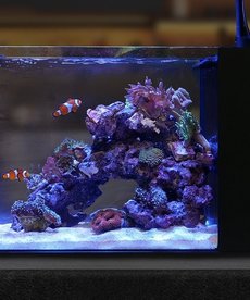 Waterbox WATERBOX AQUARIUMS Peninsula mini 25