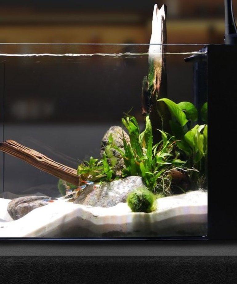 Waterbox WATERBOX AQUARIUMS Peninsula mini 15