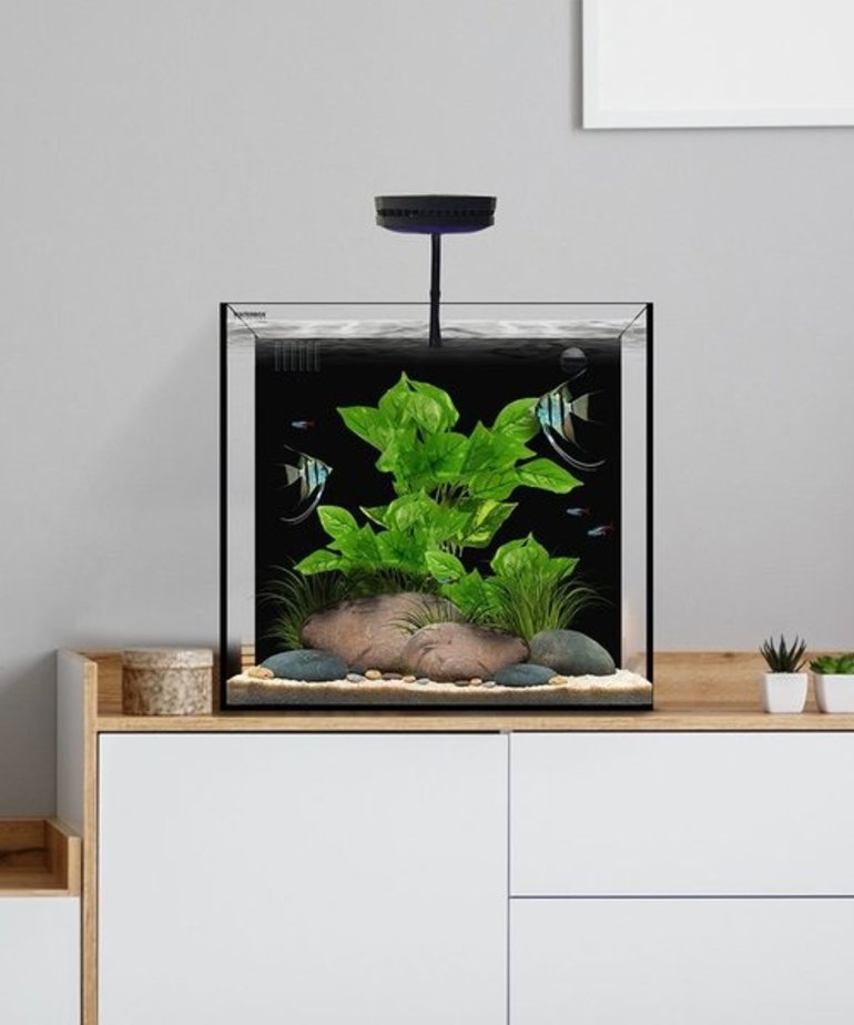 Waterbox WATERBOX AQUARIUMS Cube 20