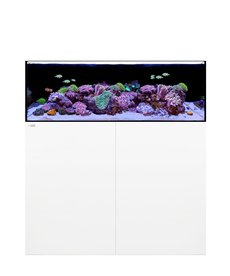 Waterbox WATERBOX AQUARIUMS Frag 85.3 Blanc