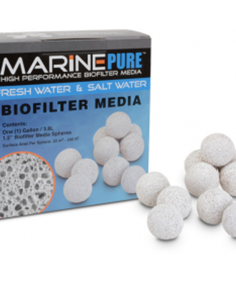 Marine Pure MARINEPURE Biofilter Media Spheres 1.5" - 1 Gallon