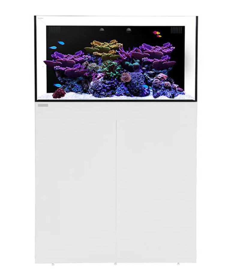 Waterbox WATERBOX AQUARIUMS AIO 50.3 Blanc