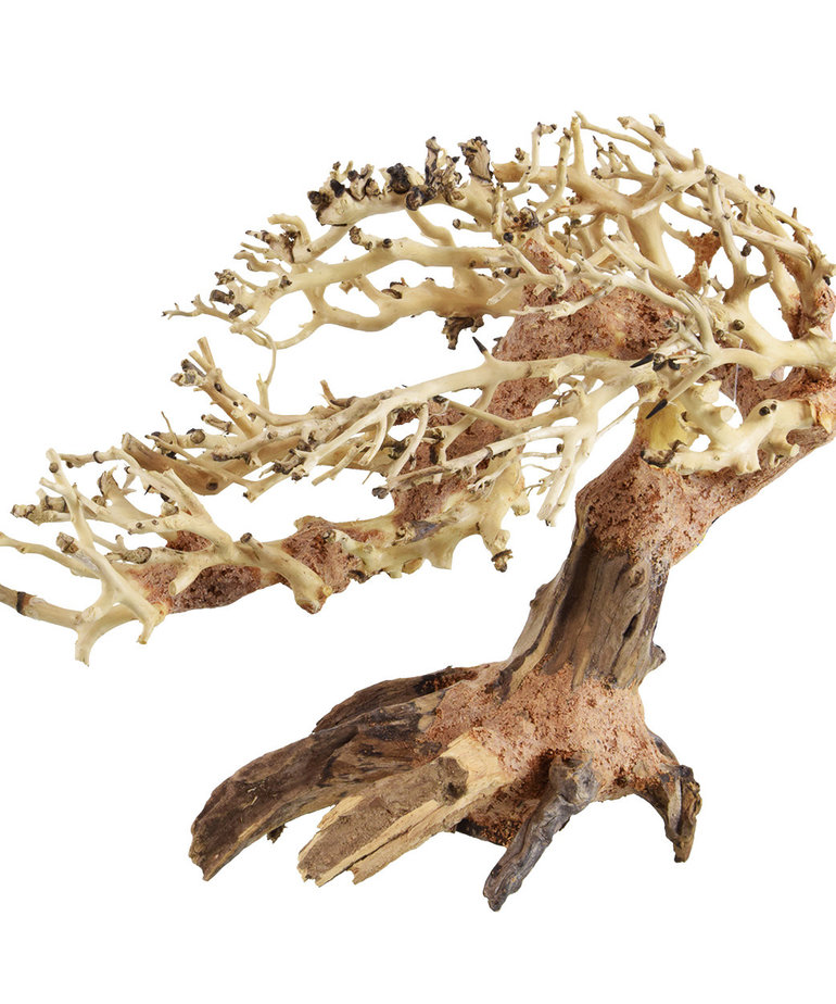 UNDERWATER TREASURES Romantic Bonsai Wood - Small