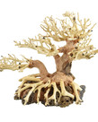 UNDERWATER TREASURES Bonsai Wood With Rock Sm