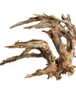 UNDERWATER TREASURES Kirin Bonsai Wood Md
