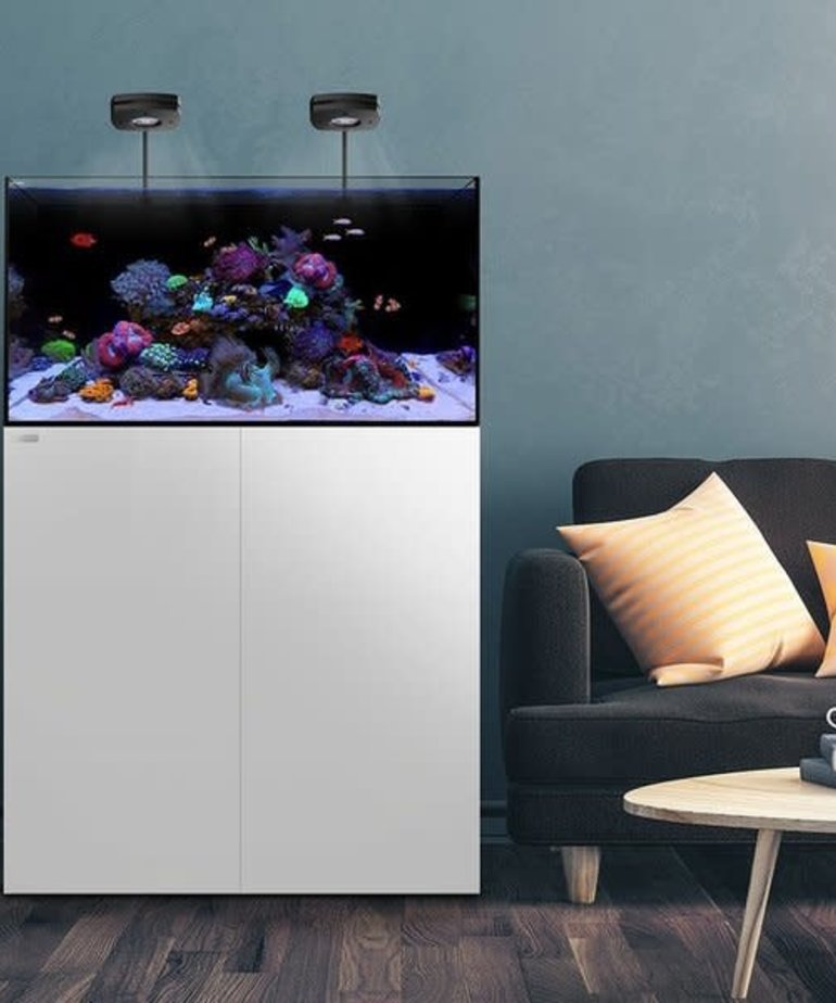 Waterbox WATERBOX AQUARIUMS AIO 50.3 Aspen