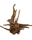UNDERWATER TREASURES Eucalyptus Root - Small