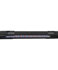 Keenso lumière polyvalente pour aquarium, lumière d'aquarium LED colorée,  lumière d'aquarium pour poissons d'aquarium pour aquarium 