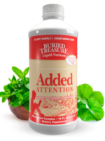 BURIED TREASURE Added Attention 16 Fl Oz