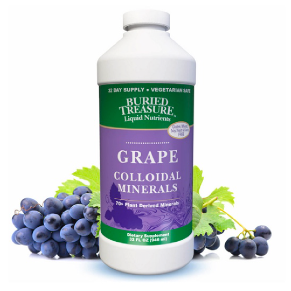 BURIED TREASURE Colloidal Mineral Complex  Grape Flavored