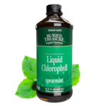 BURIED TREASURE LIQUID CHLOROPHYLL 16 FL OZ