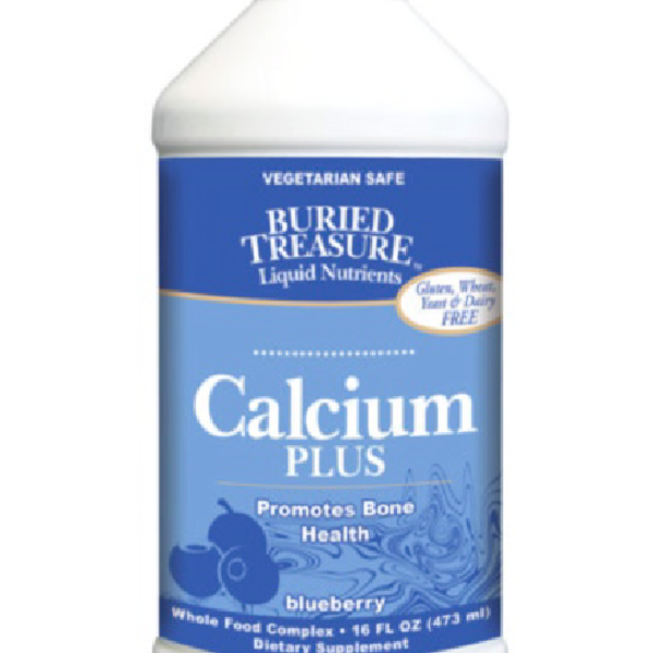 BURIED TREASURE CALCIUM PLUS -BLUEBERRY FLAVOR 16 FL OZ