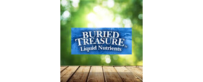 BURIED TREASURE