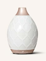 YL Desert Mist Diffuser