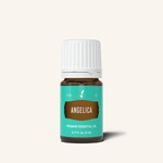 YL Angelica 5 ml