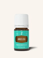 YL Angelica 5 ml