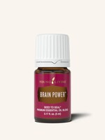 YL Brain Power 5 ml