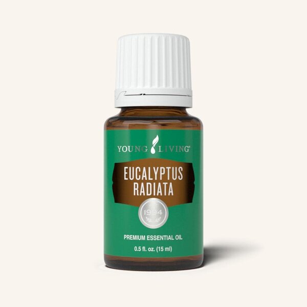 YL Eucalyptus Radiata 15 ml