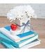 An Apple A Day Mini