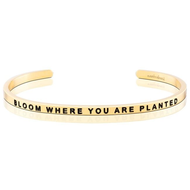 Bloom Where You Are Planted