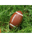 Touchdown! Mini