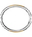 Cantania Hinged BangleCantania Hinged Bangle in Gold