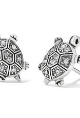BRIGHTON Fortune Turtles Mini Post Earrings