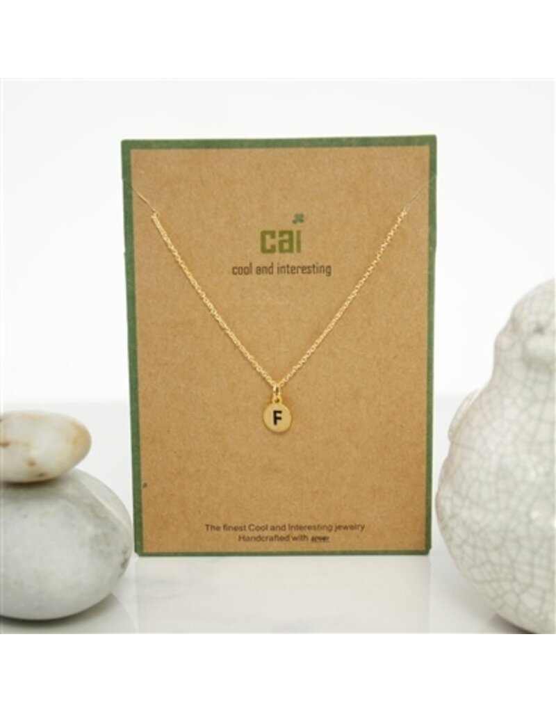COOL & INTERESTING Dainty Disc Initial F Necklace