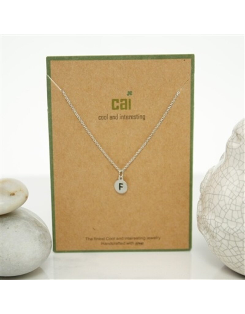 COOL & INTERESTING Dainty Disc Initial F Necklace