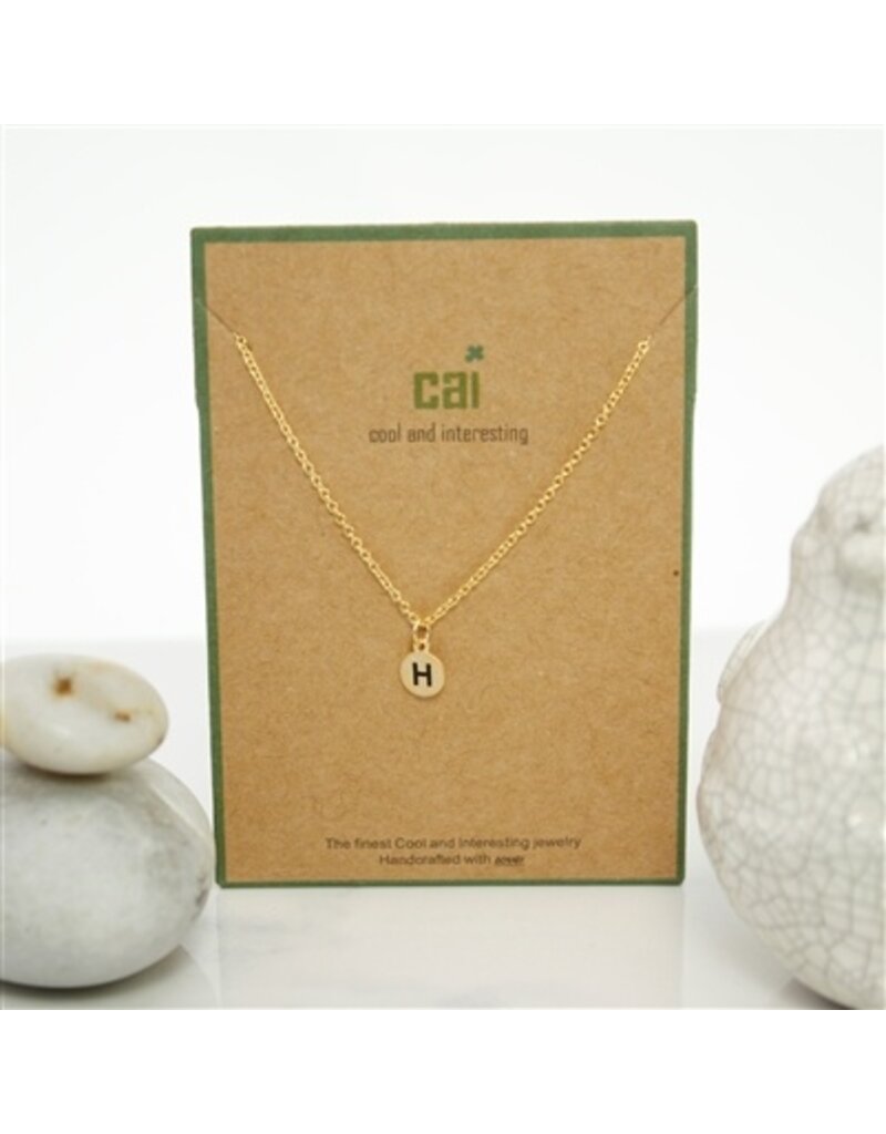 COOL & INTERESTING Dainty Disc Initial H Necklace