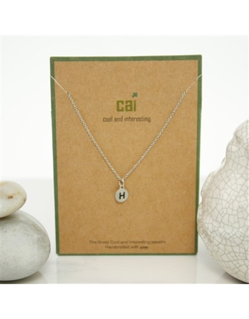 COOL & INTERESTING Dainty Disc Initial H Necklace