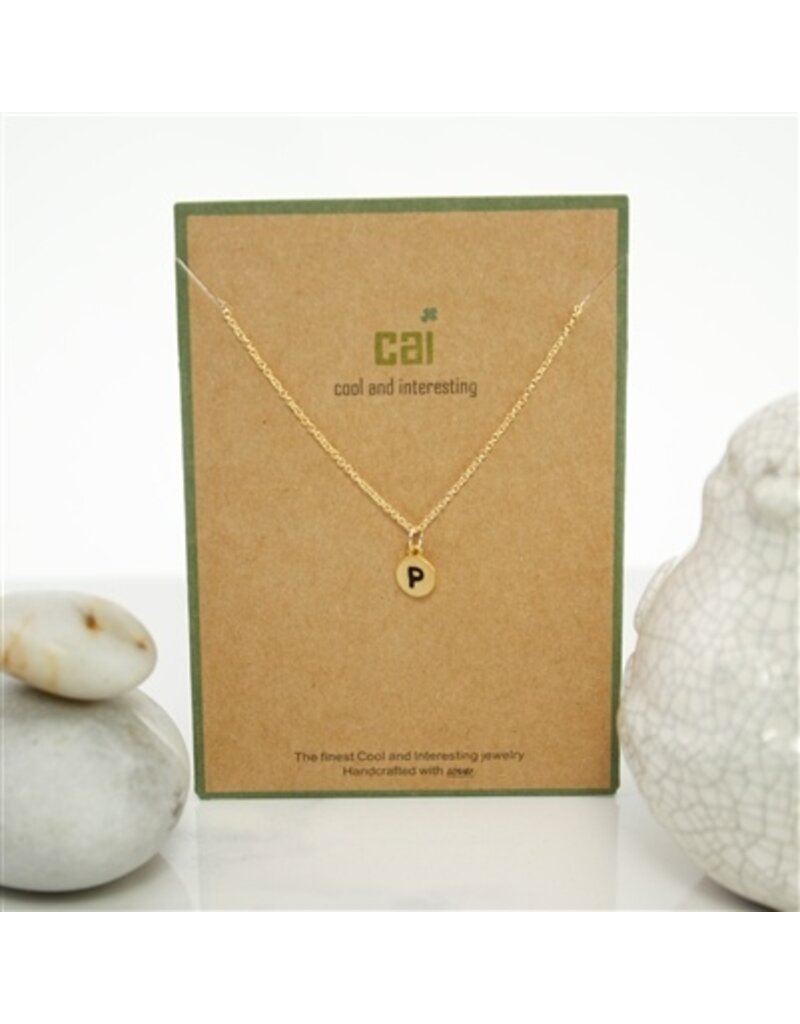 COOL & INTERESTING Dainty Disc Initial P Necklace