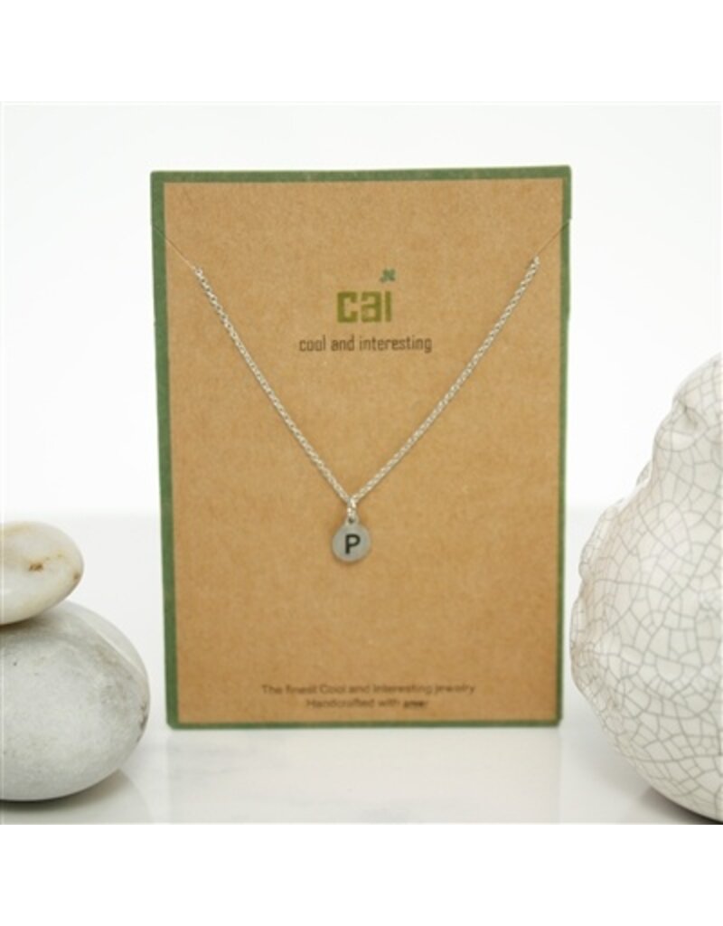 COOL & INTERESTING Dainty Disc Initial P Necklace