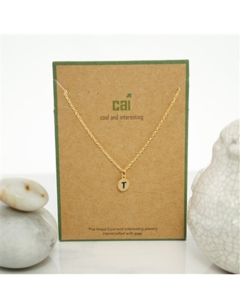 COOL & INTERESTING Dainty Disc Initial T Necklace