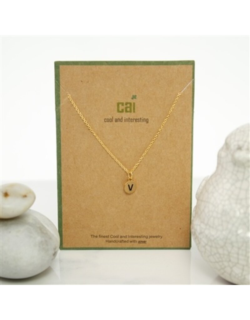 COOL & INTERESTING Dainty Disc Initial V Necklace