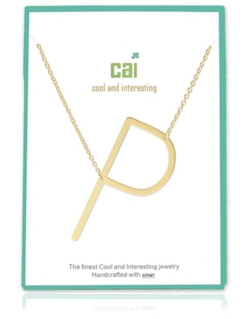 COOL & INTERESTING Large Initial P Necklace