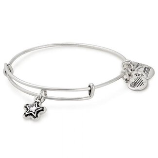 ALEX & ANI Charity By Design True Wish Charm Bangle