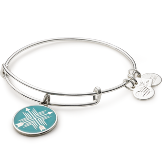 Alex and ani store cat charm bangle