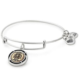 ALEX & ANI Carpe Diem Charm Bangle