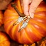 Pumpkin Bangle Bracelet in Silver