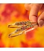 Fall Foliage Medley Bangle Bracelet in Silver