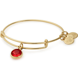 ALEX & ANI July Birthstone, Light Siam Charm Bangle