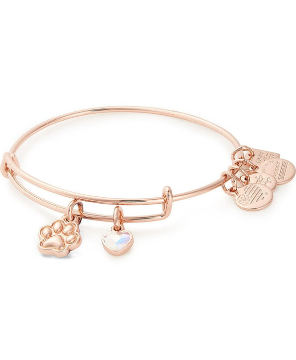 Charity By Design Paw Print Duo Charm Bangle